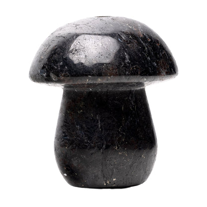 Astral Project Gemstone Shroom Pipe